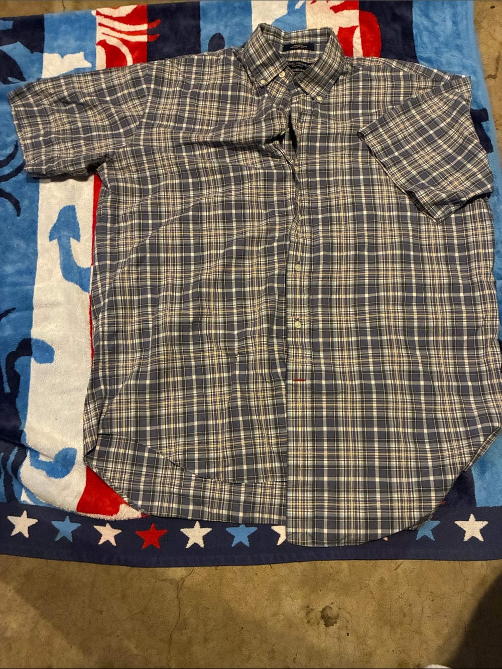 Daniel Cremieux Button-Up Plaid Shirt in Blue and Gray
